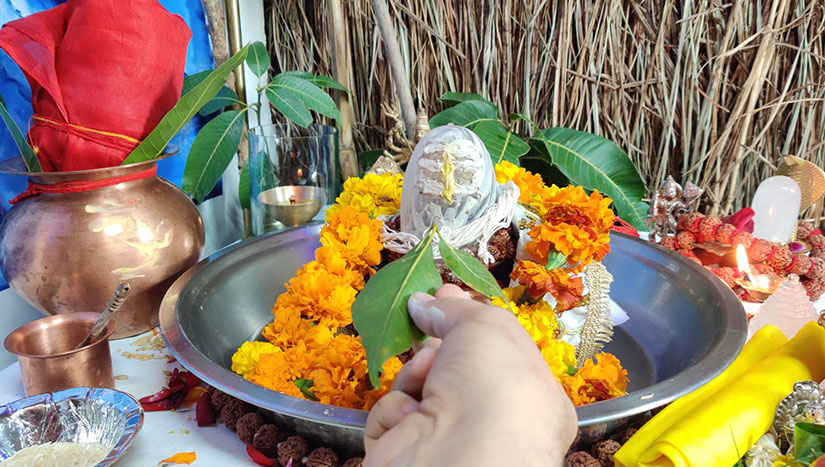 Logo Company India | Brand Consultants - iMedia